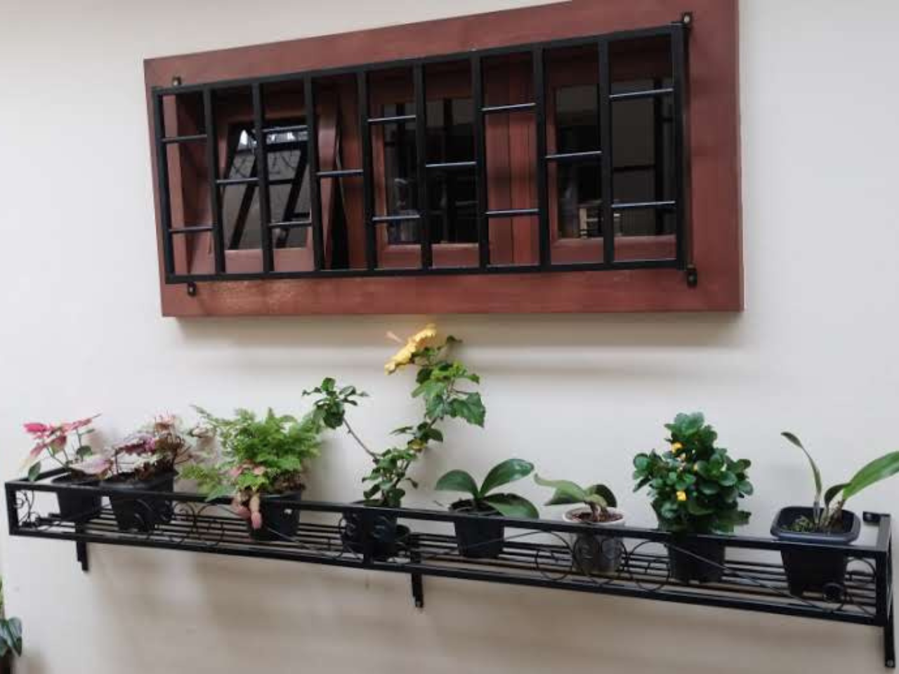Suporte para Plantas 1